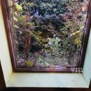 모드락572 | 제주 가시리 카페 - 모드락 572