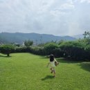 도화민박 이미지