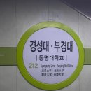 어묵먹고갈래 앞 | 해운대해수욕장, 요트투어, 샌디스카페, 삼진어묵, 미피카페, 고래사어묵, 흰여울문화마을) | 기념품 추천!