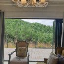 블랙트리 하우스 이미지