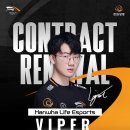 바이퍼코리아 이미지