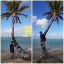 명품드림 이미지