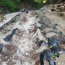 찬우농장 이미지