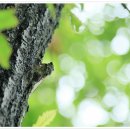 문경기행[토끼비리와 신립장군] 이미지