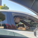 내토로30길 이미지