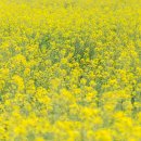 산곡하이웨이주유소 이미지