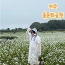 하늘5(동쪽) | 제주돌문화공원 데이지와 소요시간 하늘연못까지 동쪽코스 알차게