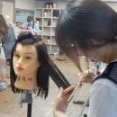 헤어105 Daum카페
