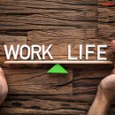 마이몽드 이미지