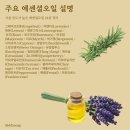 한국아로마테라피연구협회 이미지