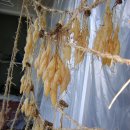 구포중학교 이미지