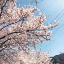 홍성 중담1공영주차장 이미지