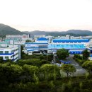 디와이 매일경제