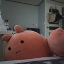 정용농장 | [W4] 돌아올 곳이 있다는 건