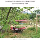 용인의 전원속 캠핑농장 오디앤 가르텐입니다. 이미지