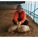 문막자동차공업사 이미지