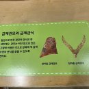 진평뽑기방 | 경주국립박물관 어린이박물관 관람 후기