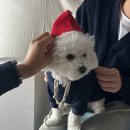 사파리사진관청주점 이미지