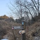 대야리산 티스토리