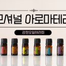해링턴어린이집