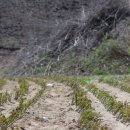 율이농장 이미지