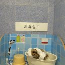 뷰티크호텔궁 | 휴일도 창원점 첫방문후기🐾내돈내산