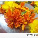 쩡이네보물창고 이미지