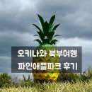 파인애플 | 아이랑 오키나와 북부 여행 나고 파인애플 파크 후기(할인, 꿀팁)