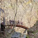 강촌유스호텔 이미지