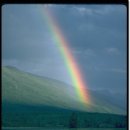 오색무지개 이미지