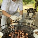 오광농장 이미지