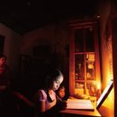 이롬황성주생식 이미지