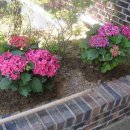 파라다이스 민박 이미지