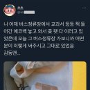 버스정류장에 에코백 놓고 왔는데 이미지