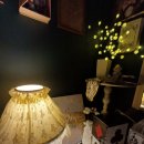 동아세탁소 | 부평파티룸라틱인천 후기 감성 인테리어 &amp; 프라이빗 공간