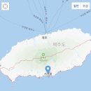 다루농장 | [공지] &lt;제주하다&gt; 새콤달콤 맛있는 저농약 귤10kg 판매해요!! 일시품절!