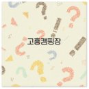 금진마트 | 고흥 캠핑장 예약부터 낚시 갯벌 강아지 동반까지 깔끔 정리