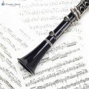 트럼펫 1:1 개인레슨 이미지