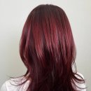 원주소화 이미지