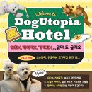 도그유토피아 이미지