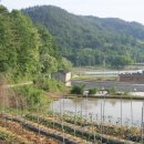 만화2리경로당 이미지