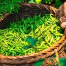 뷰티난다 이미지