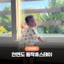 스테이 | 안면도 가성비 가족 숙소 추천, 동작휴스테이 본관 후기