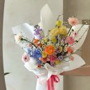 블룸더소브니
