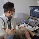 Dr.dog동물의료센터 | 부산강아지심장병, “큰 병원 가보세요” 약을 먹어도 악화된 루이 이야기