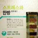 서울약령시한의약박물관 이미지