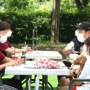 댕댕스토리 이미지