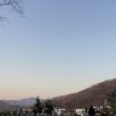 별똥구리 이미지