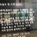 안뽀뇨 이미지