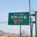 경주숲 3,4 이미지